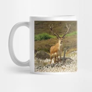 stag in cotton grass peak district Mug